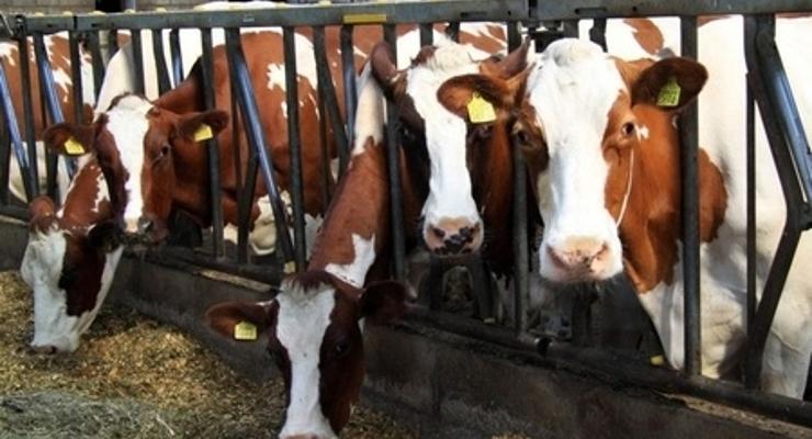 Ważna informacja dla producentów mleka i rolników