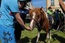 XVII Wiśnicka Parada Orkiestr Dętych – było głośno i wesoło