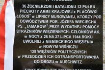 Wiśnicz: uroczystość, której na imię „pamięć”