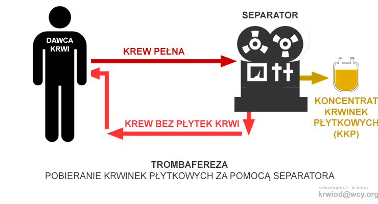 Fot. Krwiodawcy.org