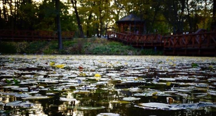 Kraków nagrodzony w konkursie „Miasto z Klimatem”