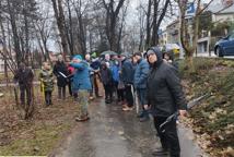 Które drzewa wyciąć na Plantach - specjalista wyjaśnia