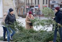 Miejski Rynek, życzenia, kolędy i smakołyki