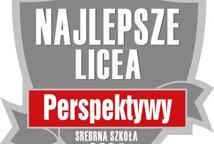 Wiśnicki „Plastyk” Srebrną Szkołą 2024